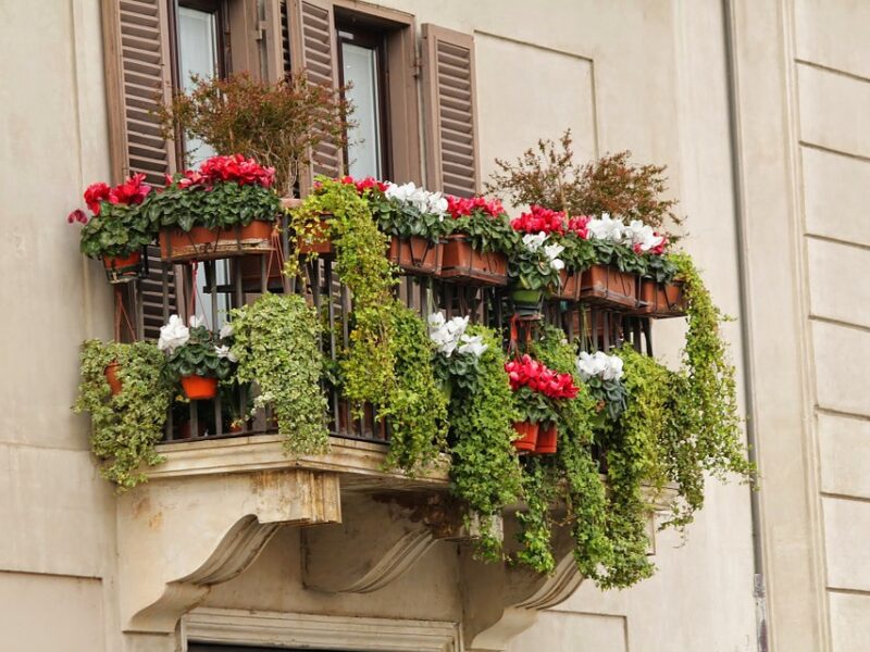 Rośliny – co na początku sezonu wiosennego warto zrobić na balkonie?
