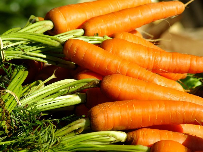 Grządki warzywne dla początkujących – kilka kluczowych porad