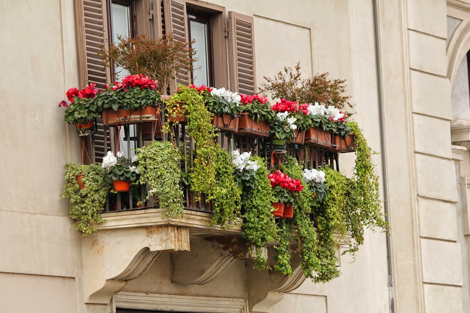 Kolorowe kwiaty posadzone w doniczkach na balkonie